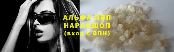 стафф Алексин
