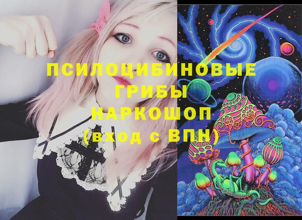 стафф Алексин