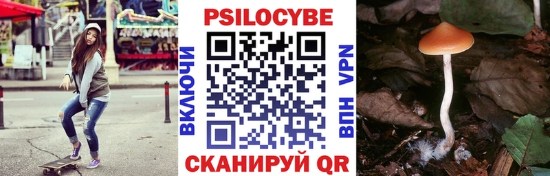 kraken ссылки  Абаза  Галлюциногенные грибы GOLDEN TEACHER 